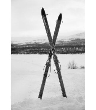 Antique Skis 24 x 36