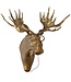Eugene the Moose E + E Wall Mount