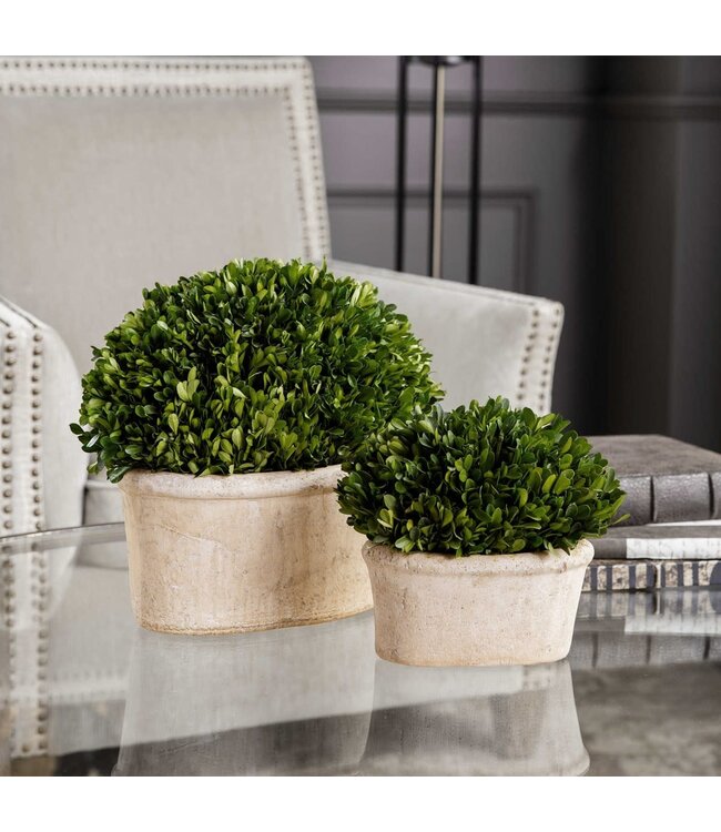 Uttermost Preserved Boxwood Oval Domes Set/2