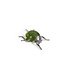 Zodax Decorative Green Ladybug