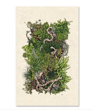 Barloga Studios Forest Floor Grand Format 40 x 60 - Sheet Rag Natural