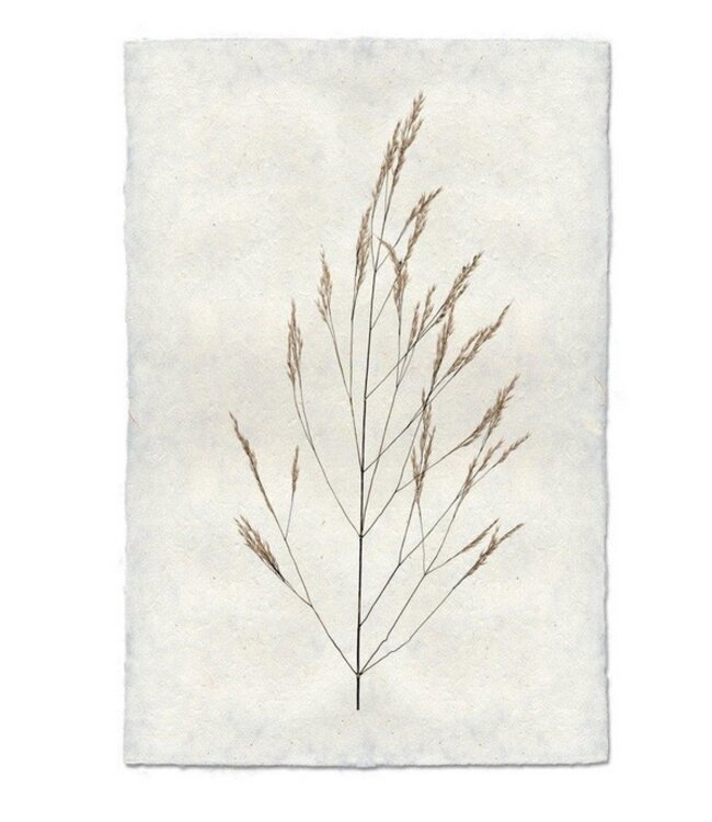 Wheat Form 20 x 30 Print - Nepalese Handmade