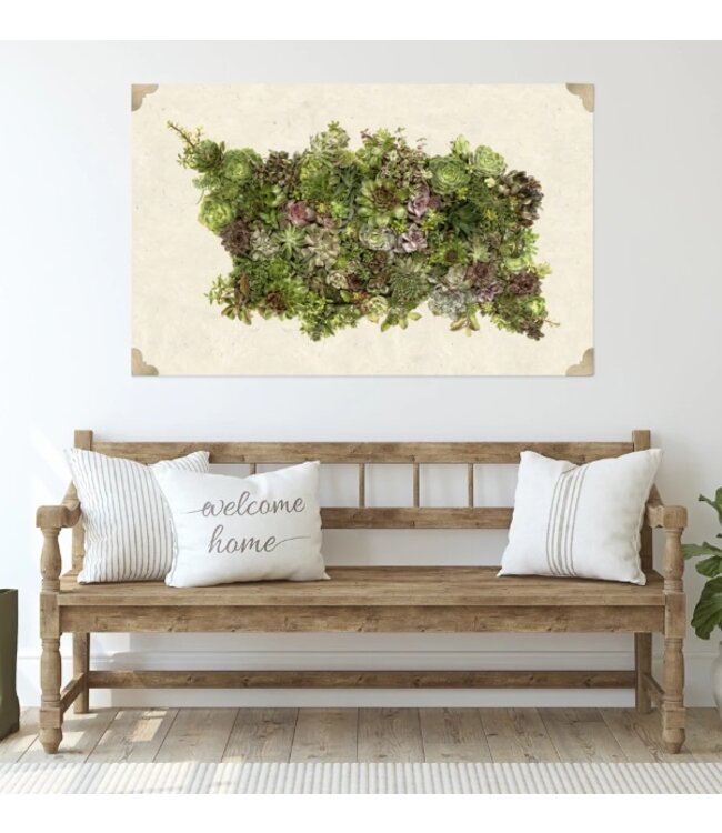 Collective Succulents Grand Format 40 x 60 - Sheet Rag Natuaral