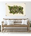Collective Succulents Grand Format 40 x 60 - Sheet Rag Natuaral