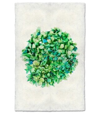 Hydrangea #1 Print 9 x 14 - Nepalese Handmade