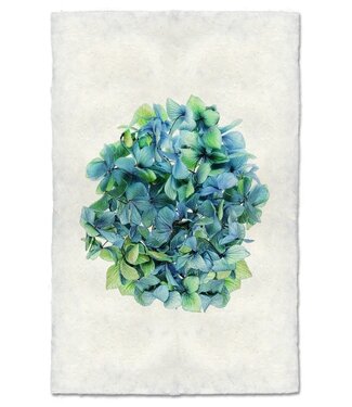 Hydrangea #2 Print 9 x 14 - Nepalese Handmade Paper