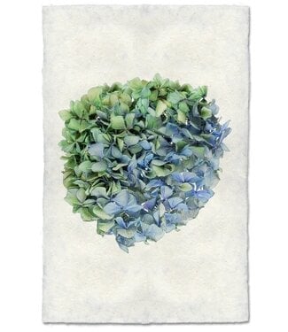 Hydrangea #7 Print 9 x 14 - Nepalese Handmade Paper