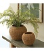 Seagrass Plant Basket Large