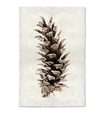 Western White Pine 20 x 30 Print - Nepalese Handmade Paper