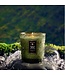 Voluspa Temple Moss Classic Candle 9oz