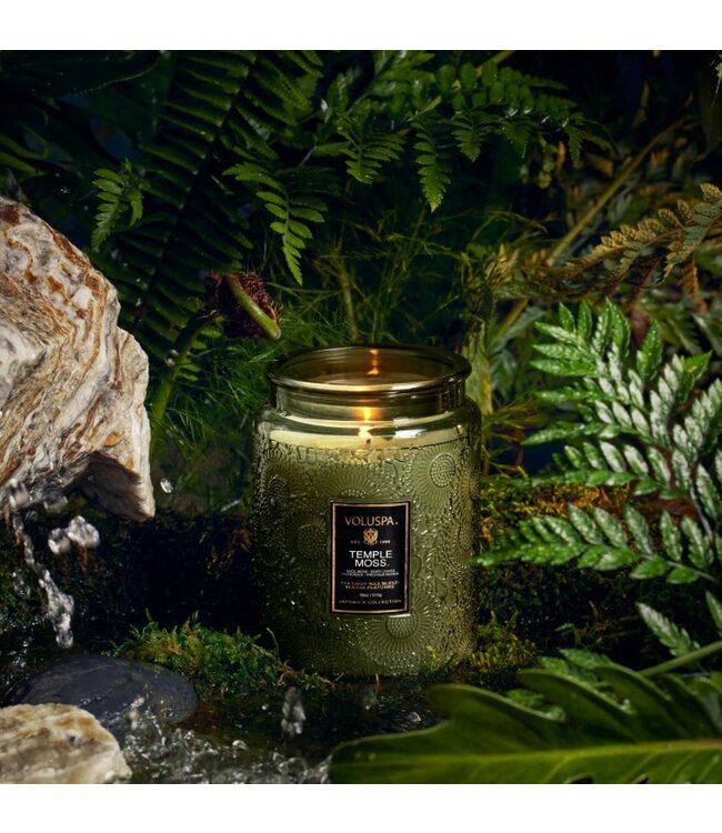 Voluspa Temple Moss Large Embossed Jar Candle