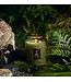 Voluspa Temple Moss Large Embossed Jar Candle