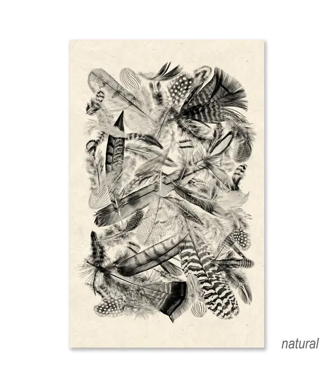 Collective Feathers (Black/White) Grand Format 40 x 60 - Sheet Rag Natural