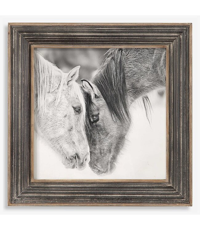 Custom Black & White Horse Framed Print 32 x 32