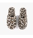 Shiraleah Avignon Slippers Leopard