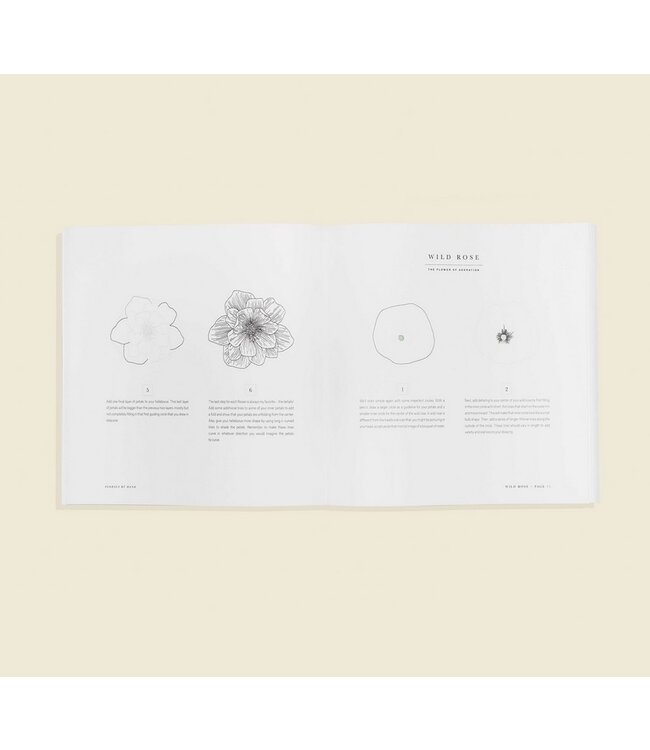 Florals By Hand: How to Draw Modern Floral Projects