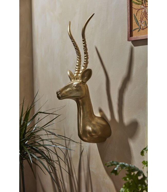 Antelope Head Mount