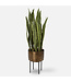 Uttermost Fasita Planter 44"