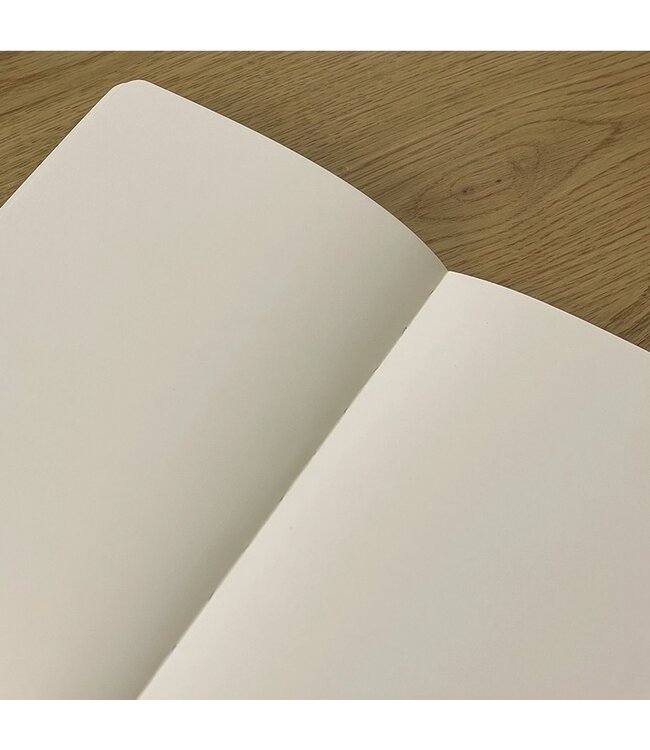 Post Pandemic Playbook Journal