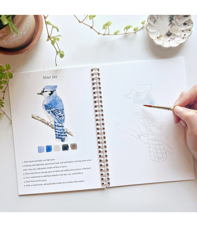 Emily Lex Studio Birds Watercolor Workbook