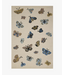 Highgrove Rug Cream