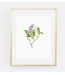 Emily Lex Studio Lilac Art Print 8 x 10