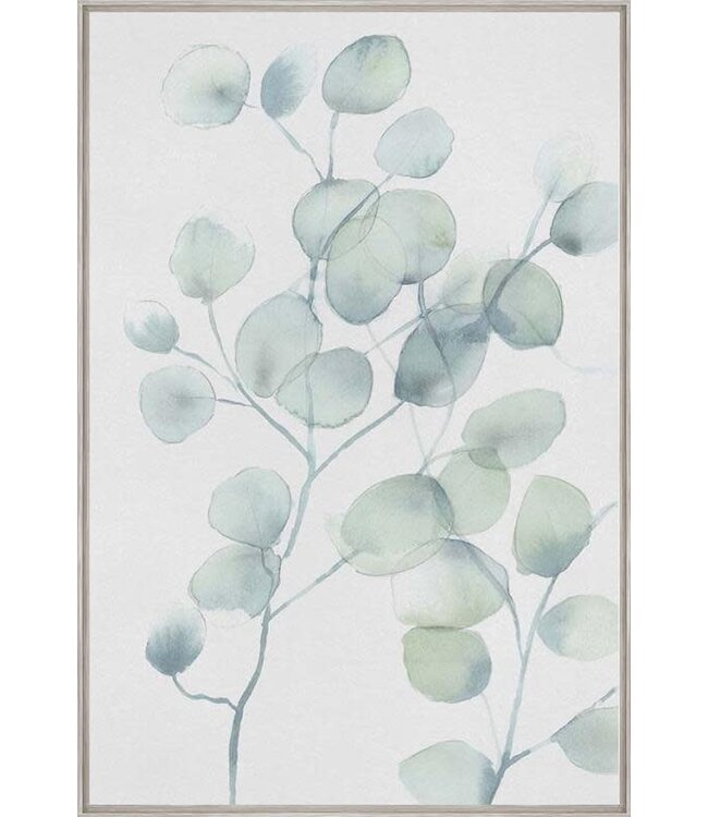 Eucalyptus XV - 24 x 36 Grey Barnwood Frame