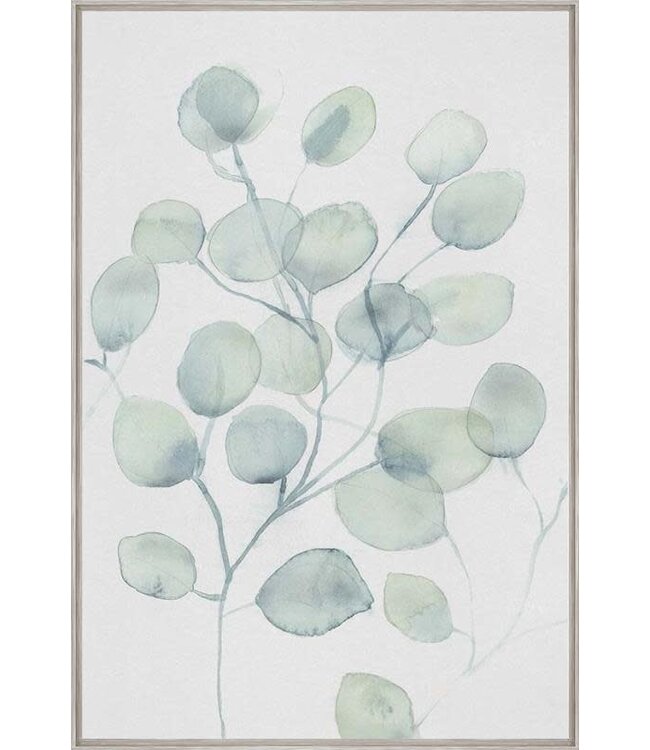 Eucalyptus XVI - 24 x 36 Grey Barnwood Frame