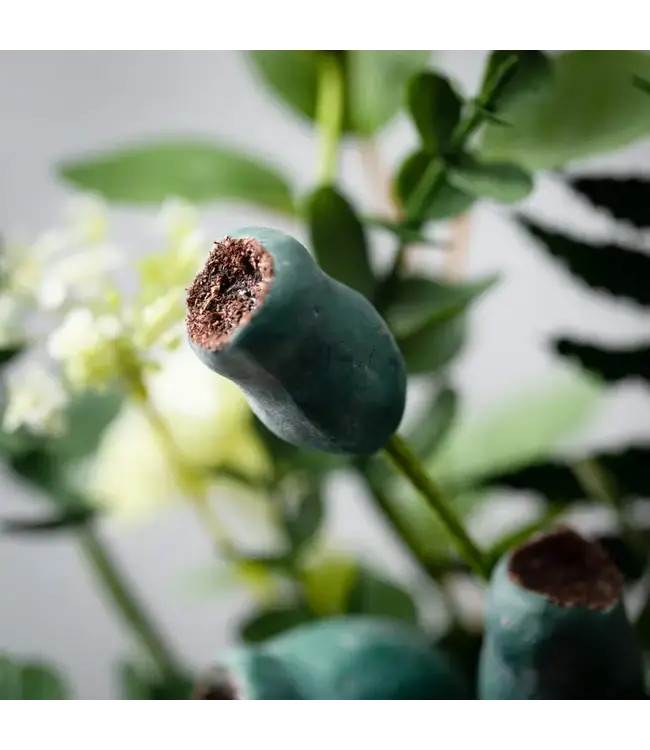 Green Pod Foliage Wreath