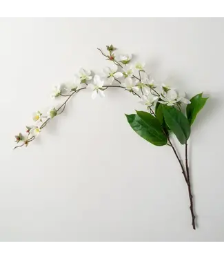 Freshcut White Peach Blossom