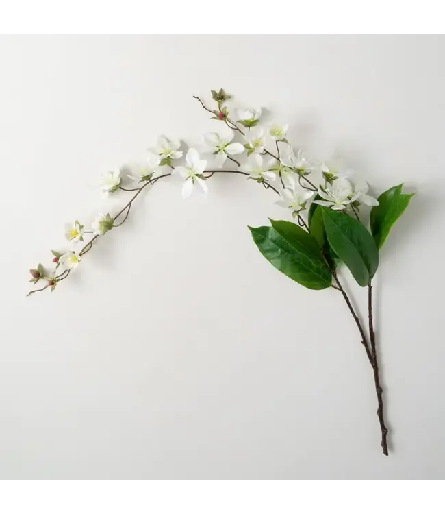 Freshcut White Peach Blossom