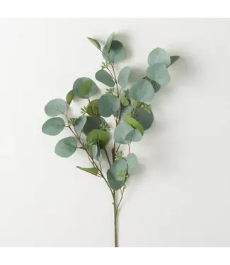 Silver Dollar Eucalyptus Spray