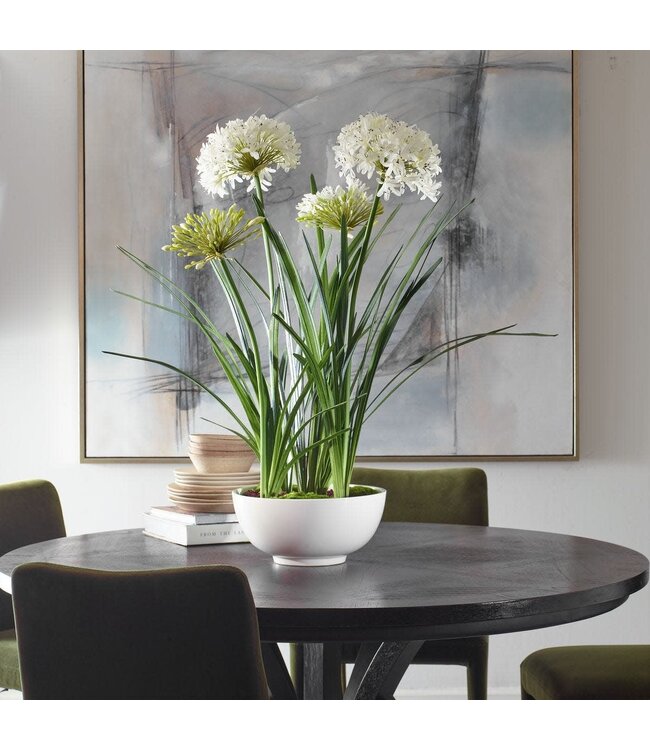 Purity Agapanthus Centerpiece