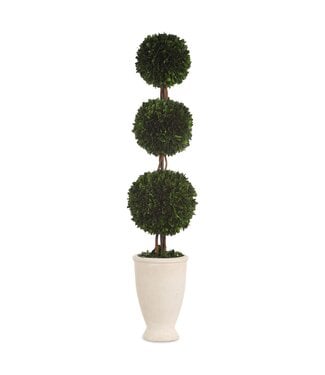 Uttermost Preserved Boxwood Triple Topiary