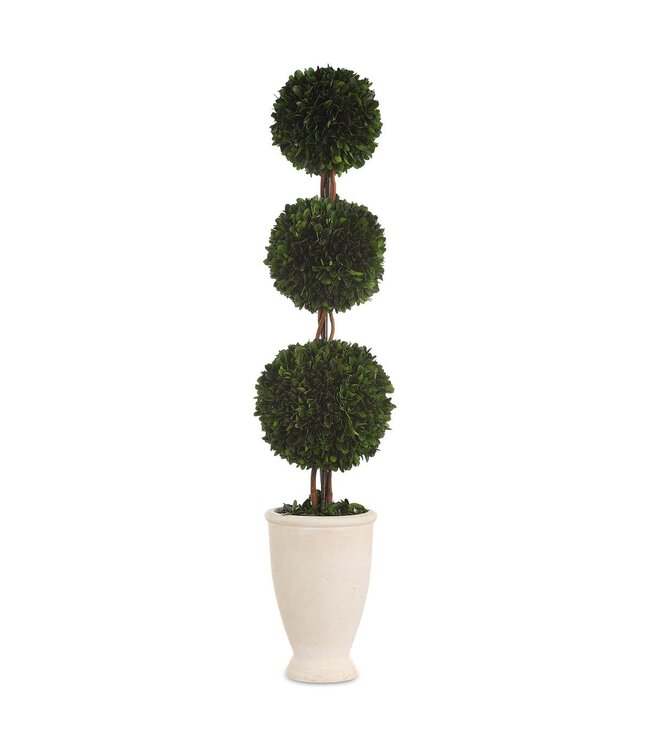 Uttermost Preserved Boxwood Triple Topiary
