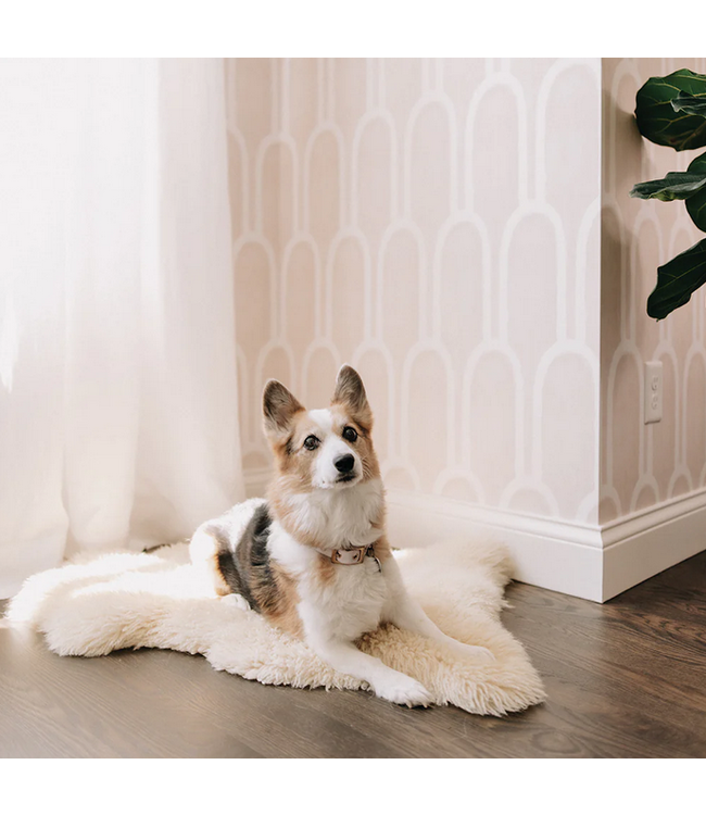 Tempaper & Co. Queen Emma Peel & Stick Wallpaper