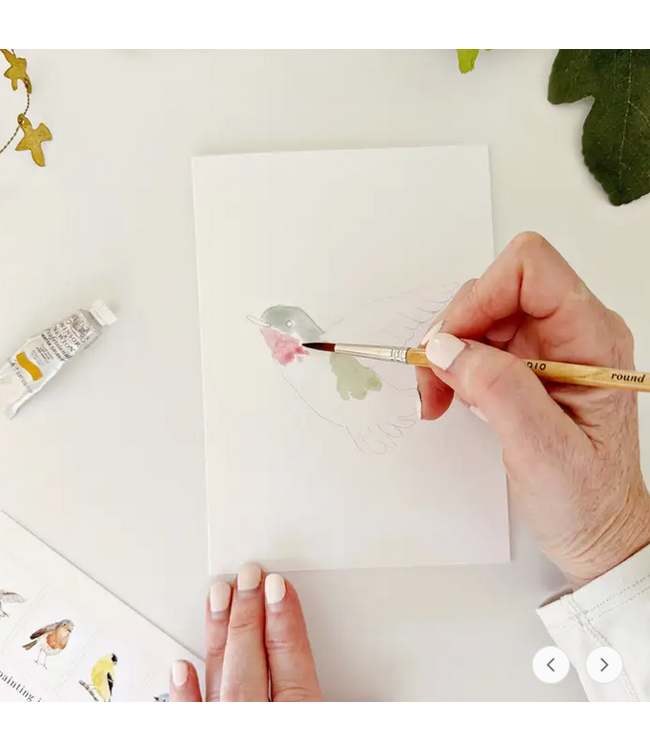 Emily Lex Studio Backyard Birds Paintable Notecards