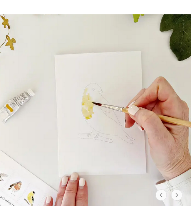 Emily Lex Studio Backyard Birds Paintable Notecards