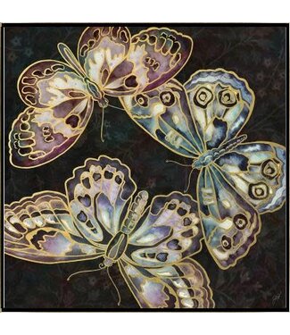 Papillion Noir II - 24 x 24