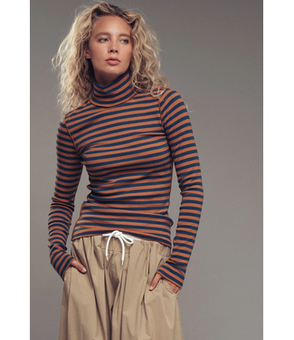 Striped Turtleneck Knit Top Teal/Brown