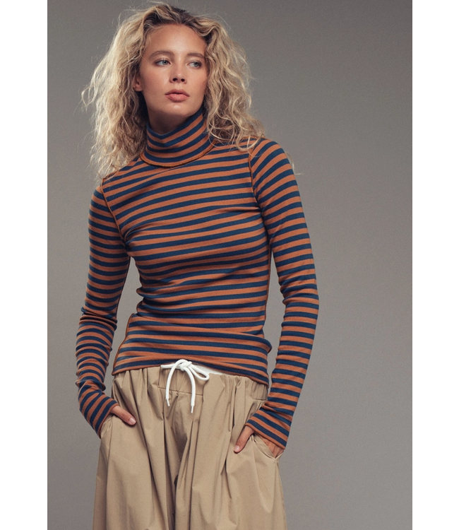 Striped Turtleneck Knit Top Teal/Brown
