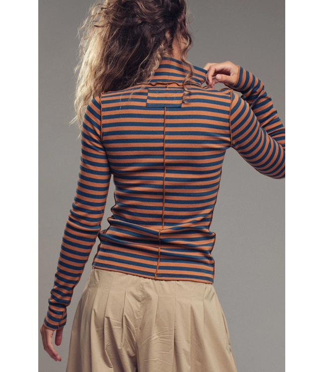 Striped Turtleneck Knit Top Teal/Brown