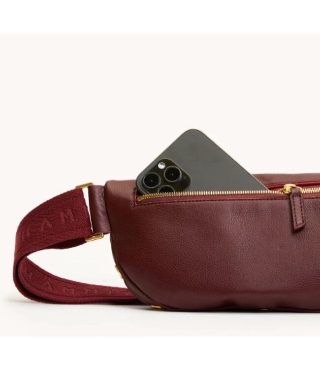Hammitt Charles Crossbody Cherrywood Pebble/BG Med