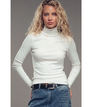 Solid Turtleneck Knit Top Ivory
