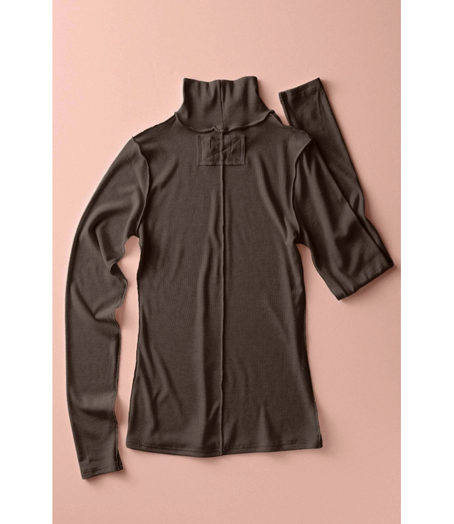 Solid Turtleneck Top Brown