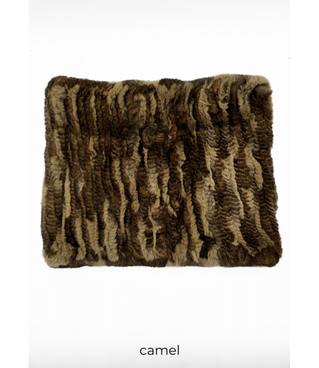 Linda Richards Rex Rabbit Funnel Camel