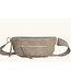 Hammitt Charles Crossbody Pewter/ BG Med
