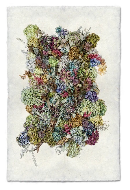 Photography & Artist Paper | Curated Art Prints by Simply Elegant Boutique