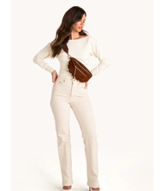 Hammitt Charles Crossbody Chocolate Diamond Suede/ AG Med