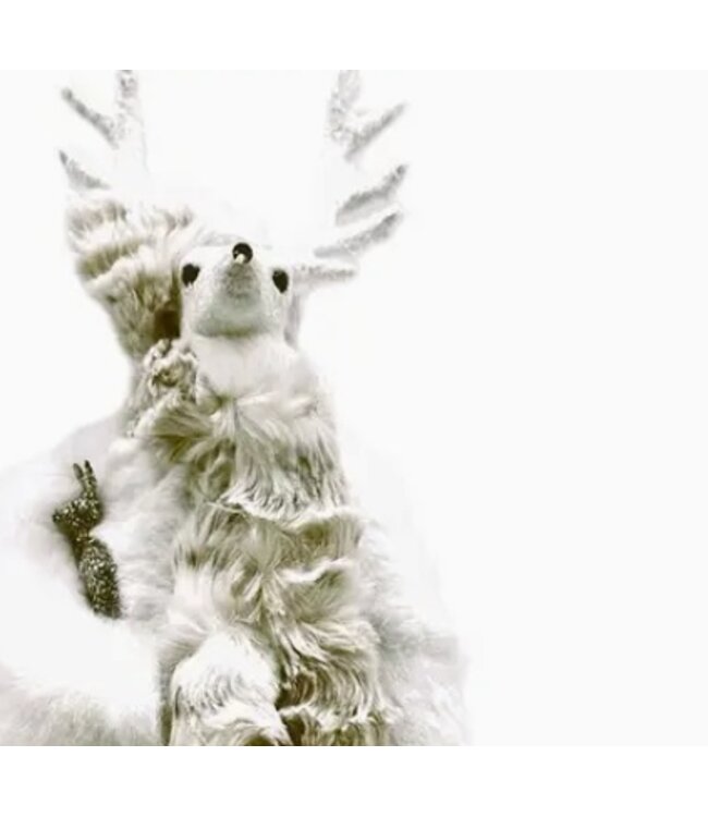 Valentino - White, White Fur